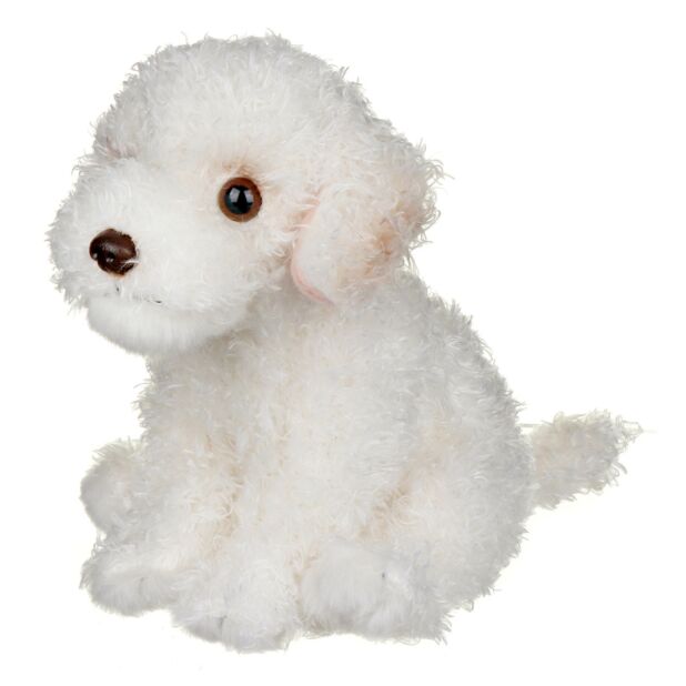 Living Nature Labradoodle Puppy