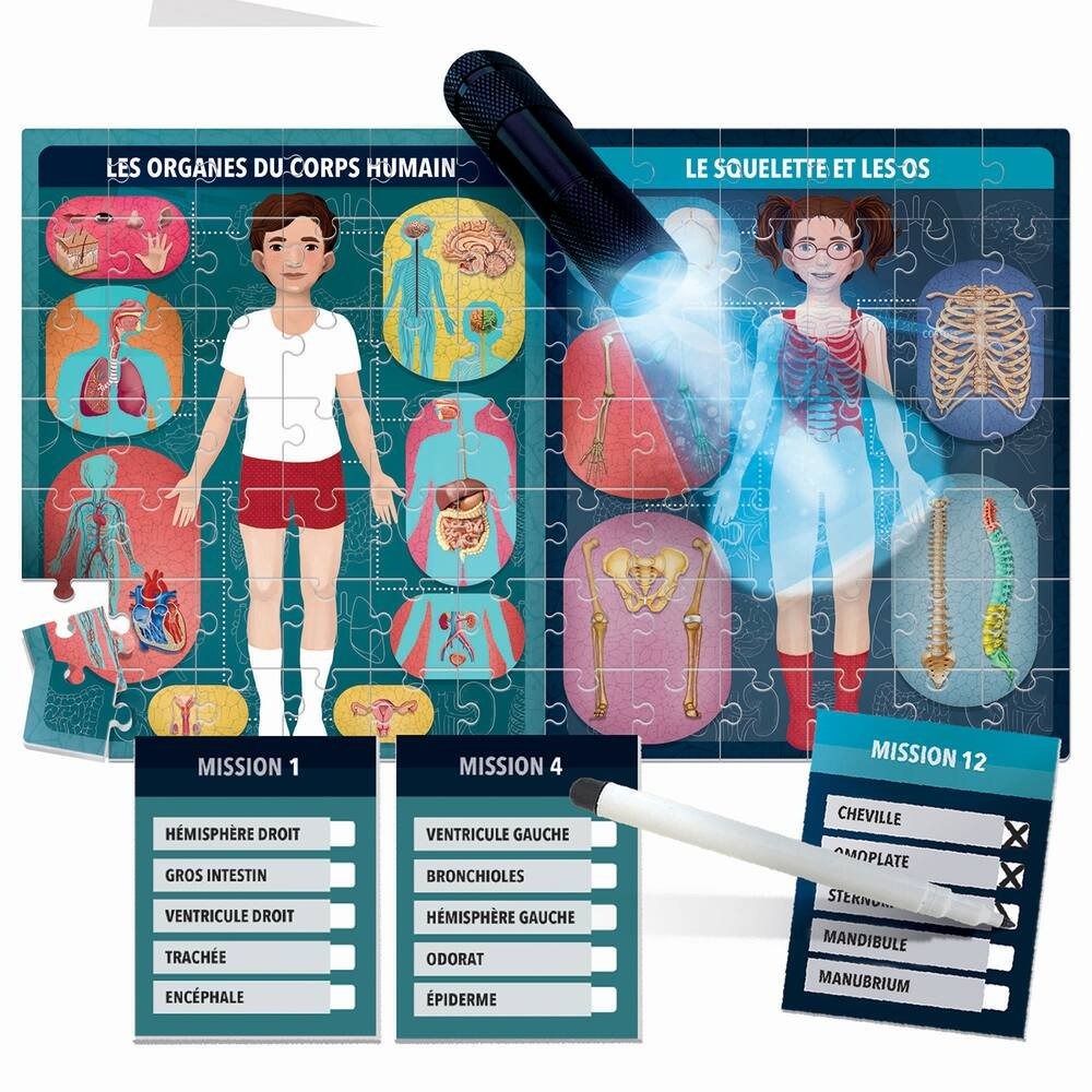 Headu Le Corps Humain Educational Game