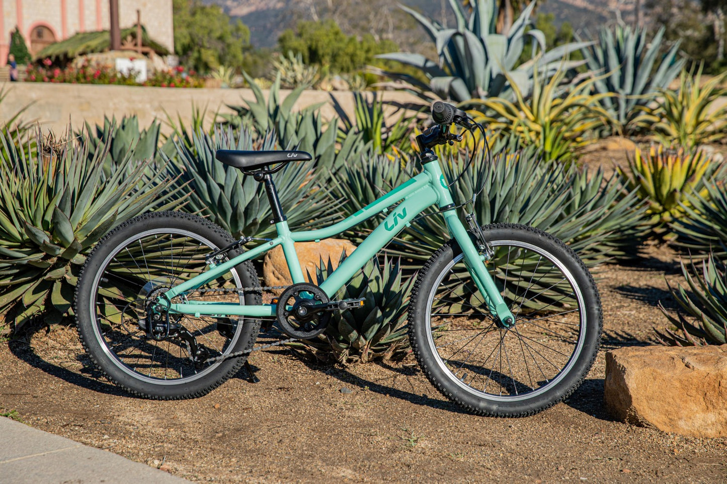 Giant Bike Liv Enchant Lite 20" Ocean Wave