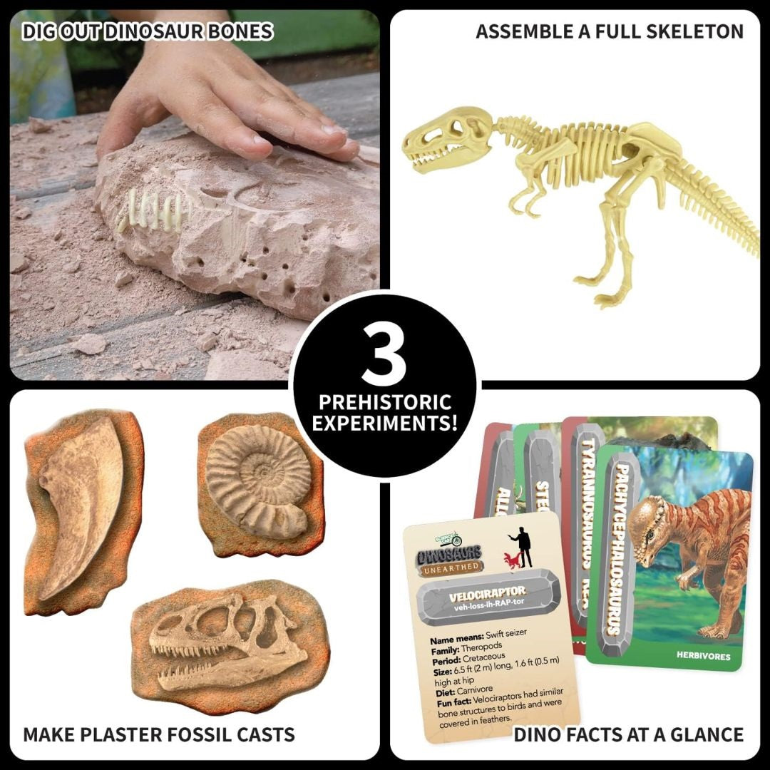 SpiceBox Science Lab Dinosaurs Unearthed Kit