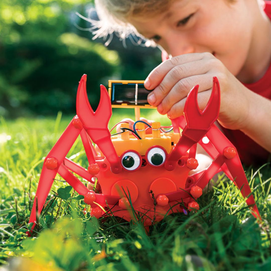 4M Green Science – Hybrid Crabot