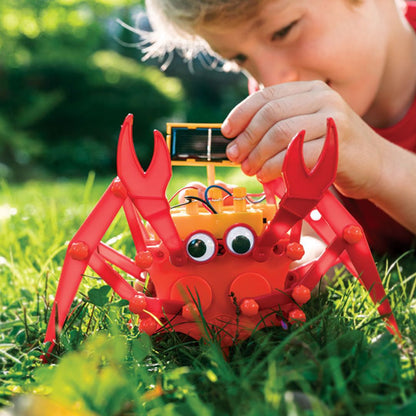 4M Green Science – Hybrid Crabot