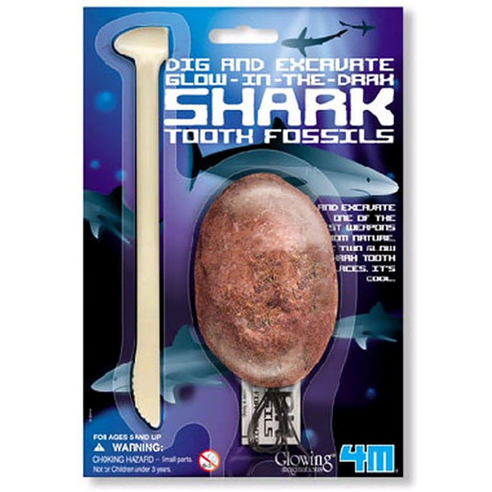 Dig Glow Shark Tooth