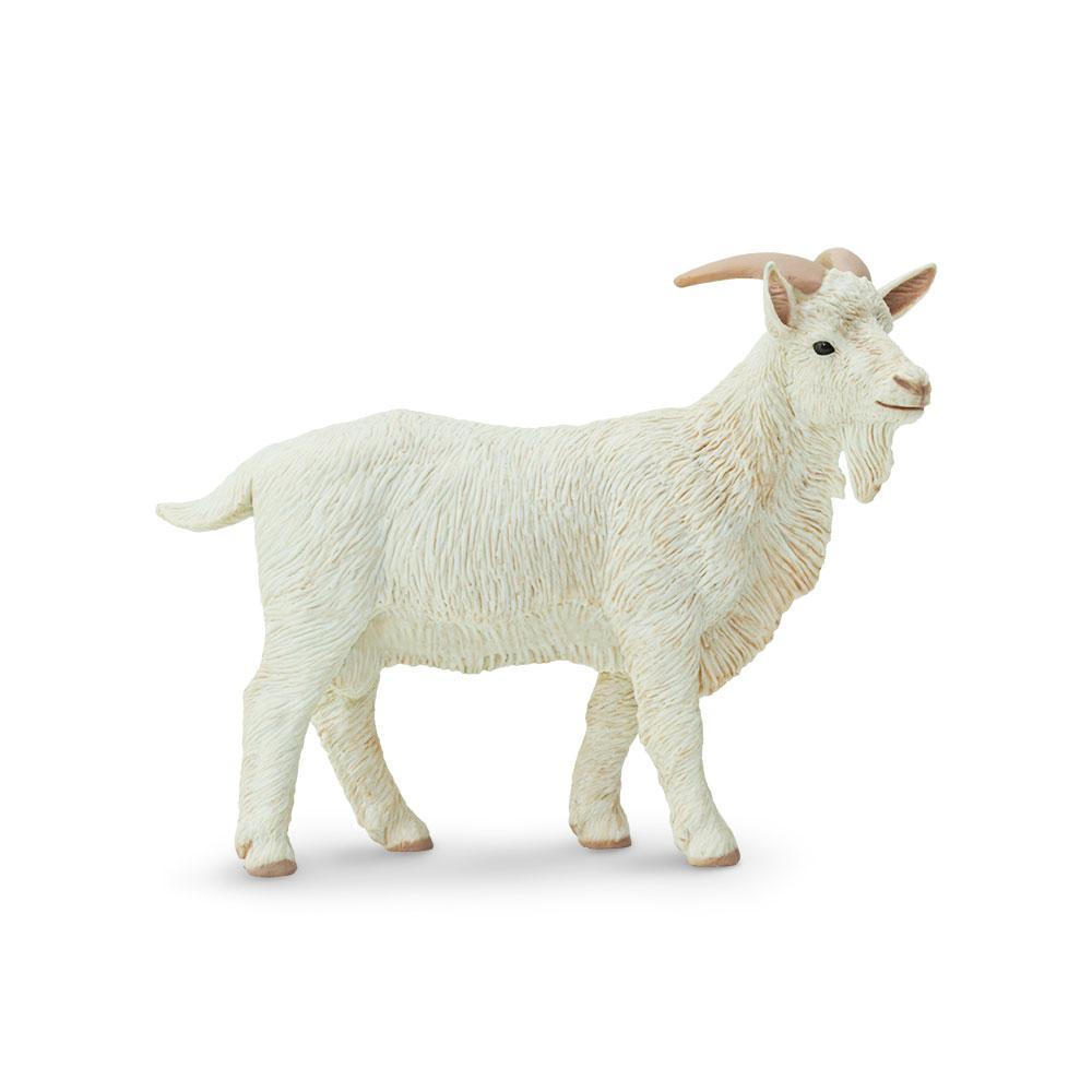 Billy Goat