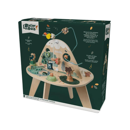 Magic Mountain Activity Table