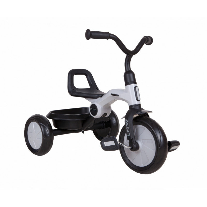 Qplay Ant Tricycle Grey