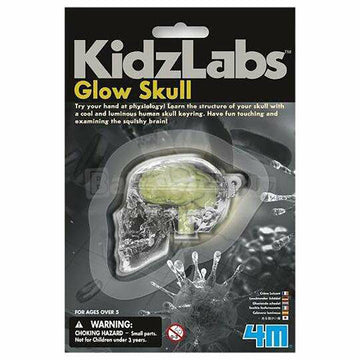 4 M Kidz Labs -Glow Skull