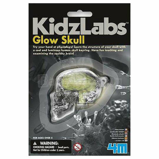 Kidz Labs -Glow Skull