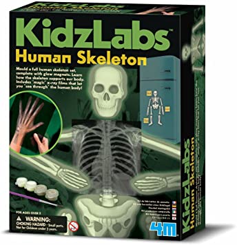 Kidz Labs Glow Human Skeleton