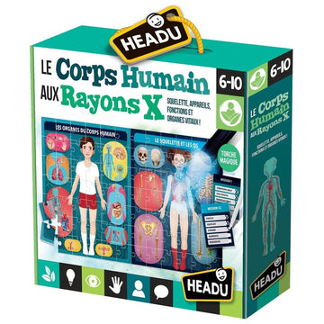 Headu Le Corps Humain Educational Game