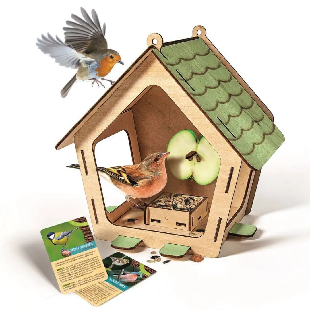 Science & Play – The Bird Feeder