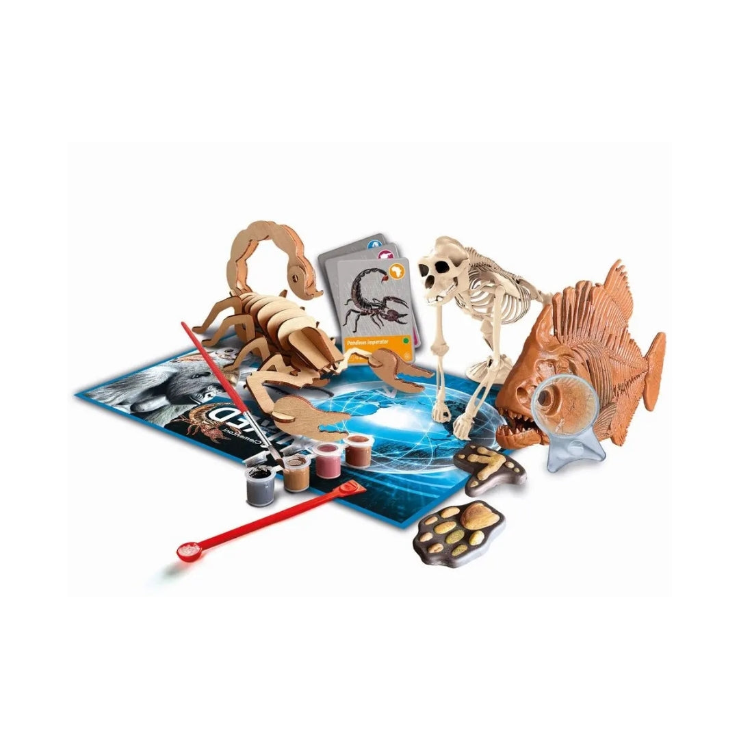 Clementoni Animal Discovery Kit With Virtual Reality