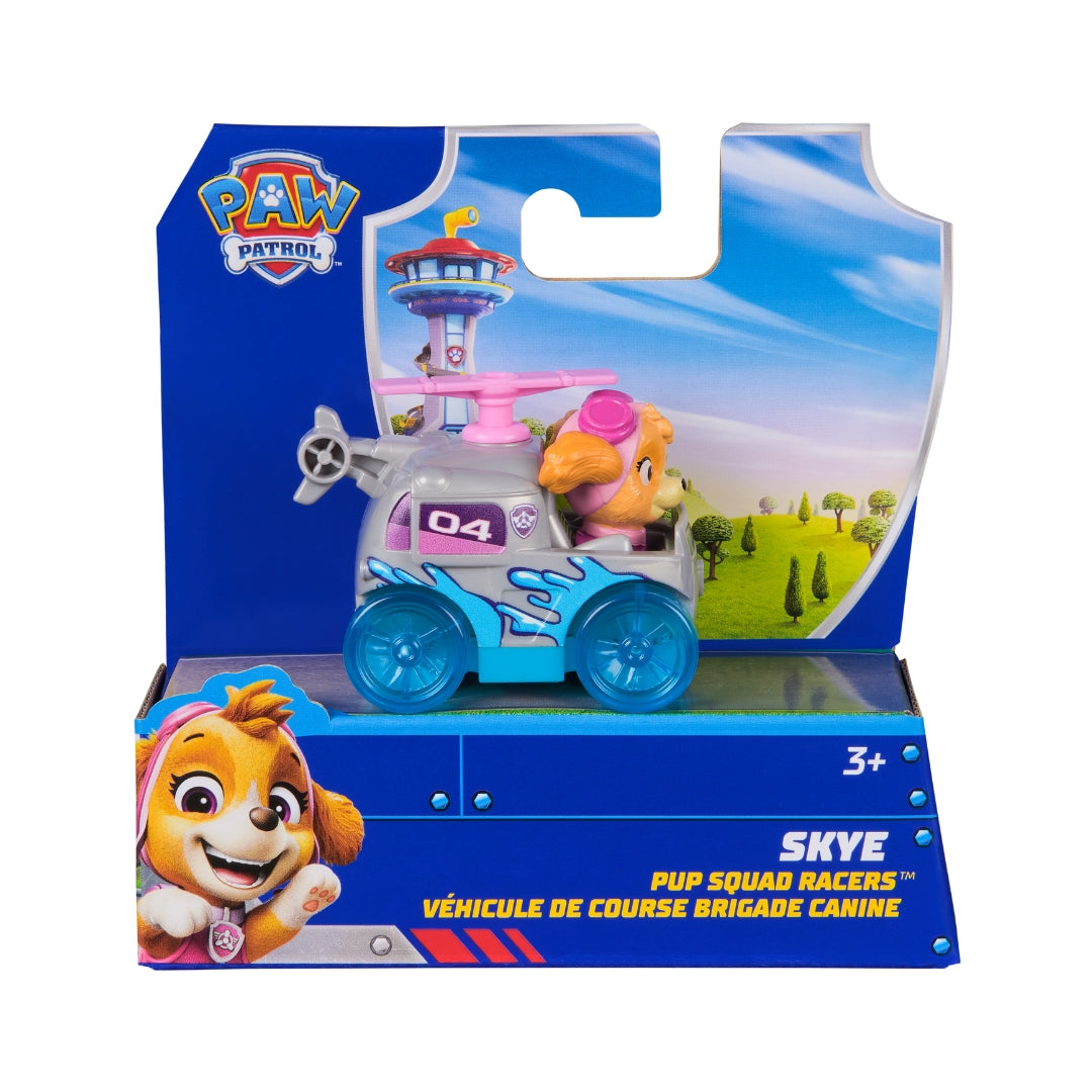 Paw Patrol Pup Squad Racers (Assorted)