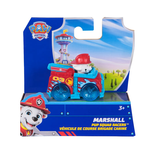 Paw Patrol Pup Squad Racers (Assorted)