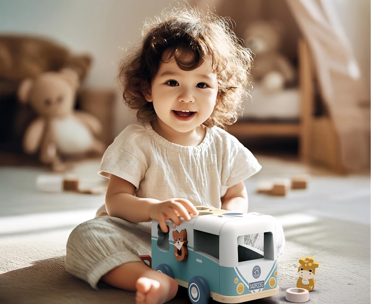Speedy Monkey Wooden Van Shape Sorter