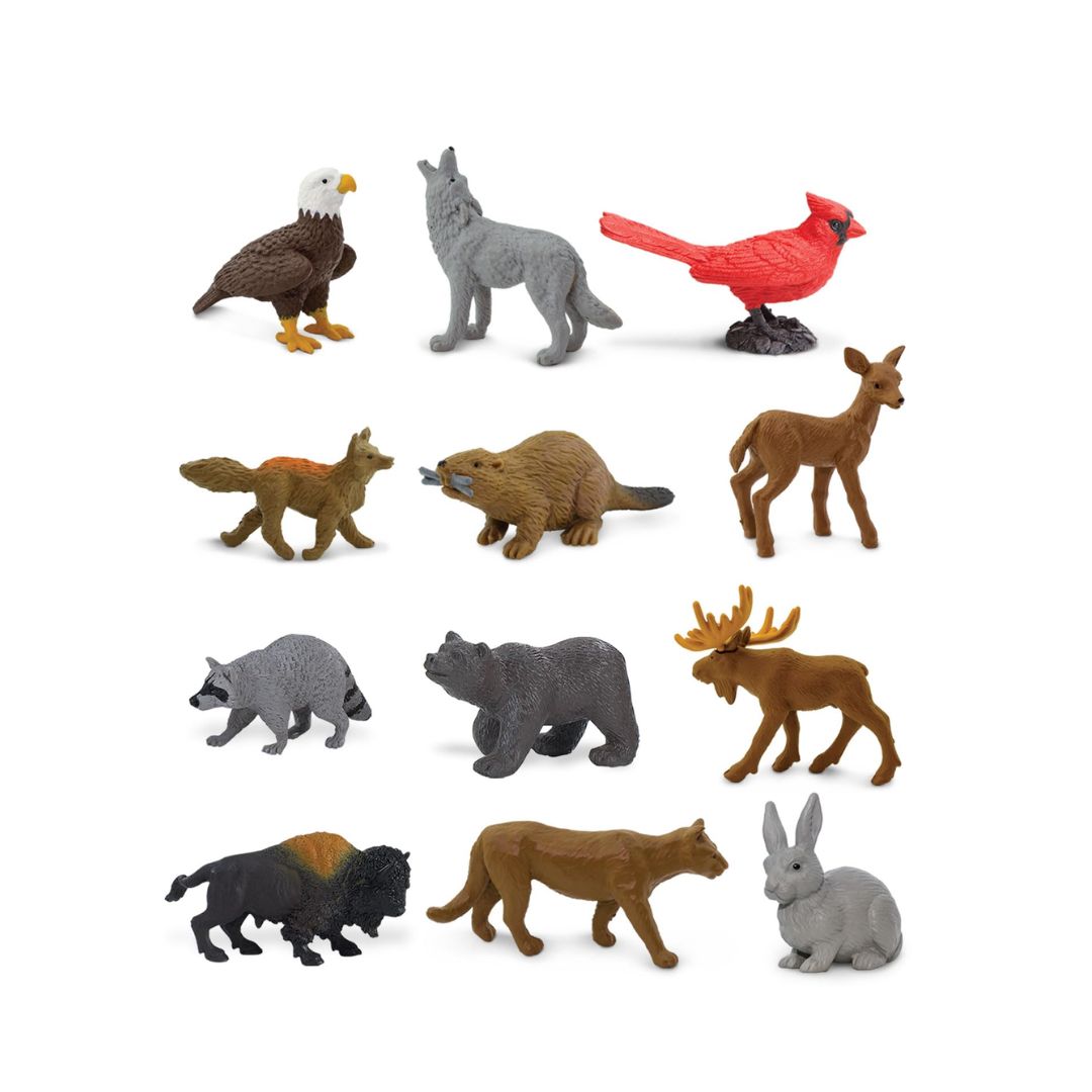 Safari Ltd. Nature TOOB