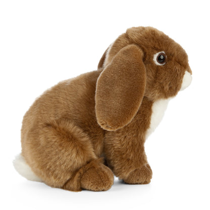 Living Nature Brown French Lop Eared Rabbit