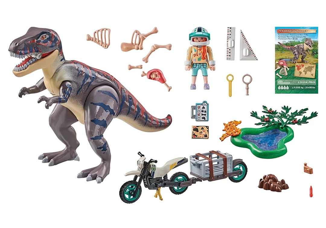 Playmobil Trex Dinos With Explorer