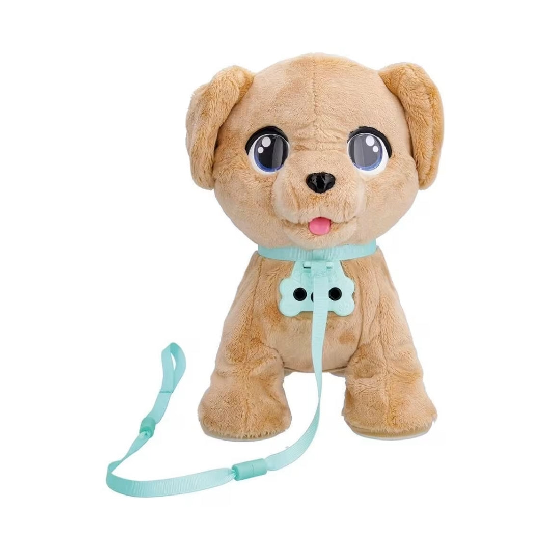 Milo Play & Walk Dog