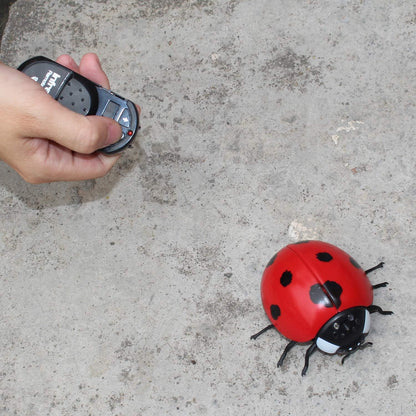 Ladybug with IR RC Robot Insect