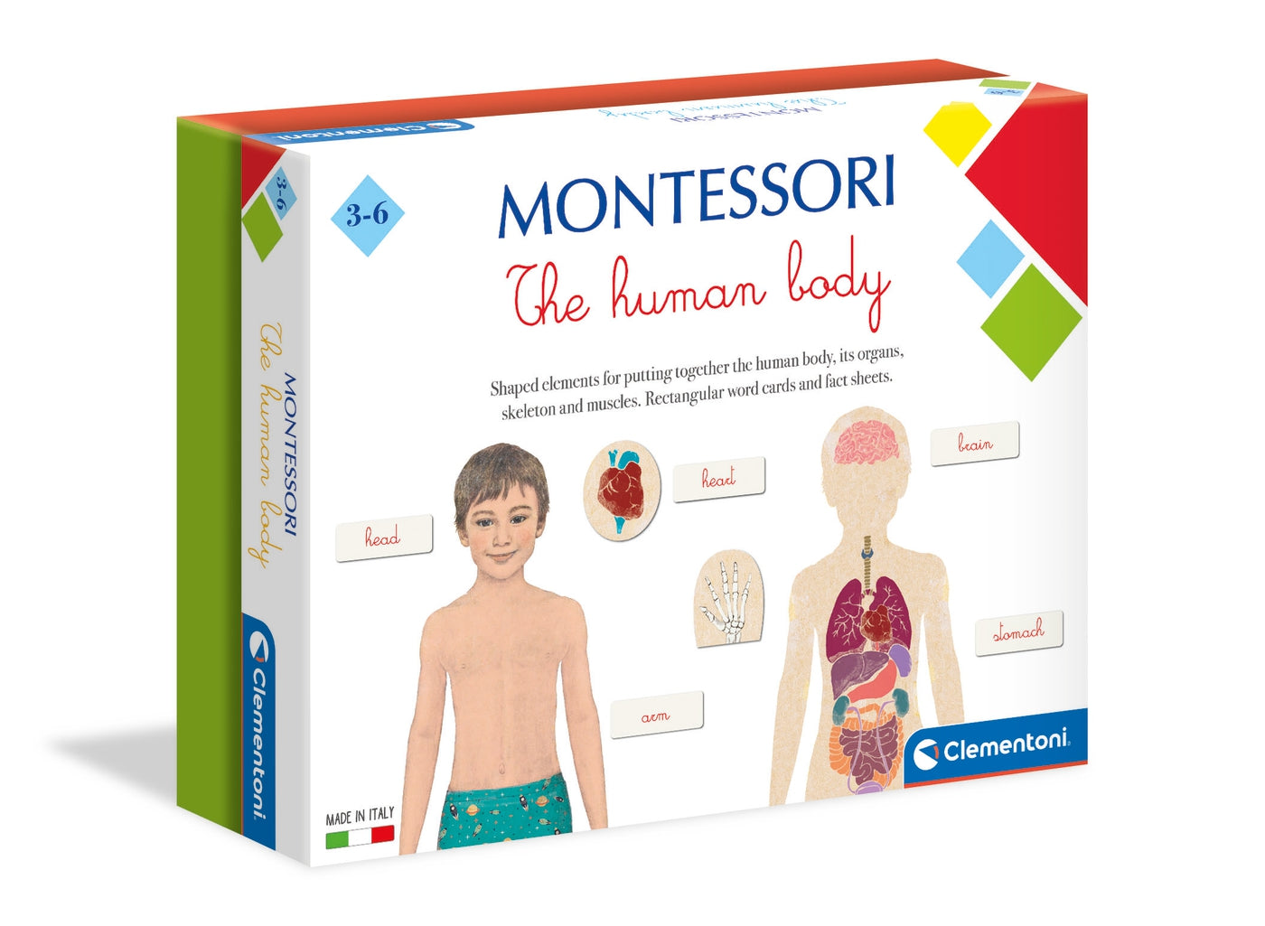 Montessori - Human Body