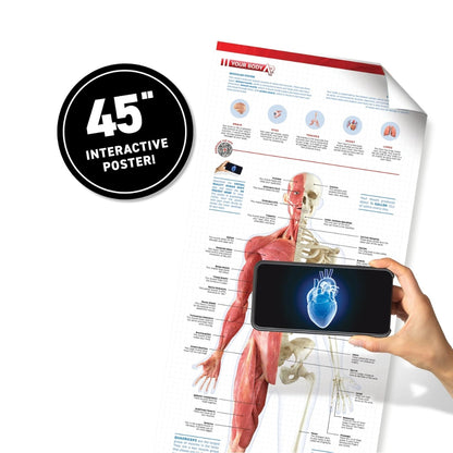 Abacus Virtual Reality Human Body