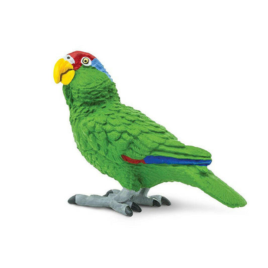 Green Parrot