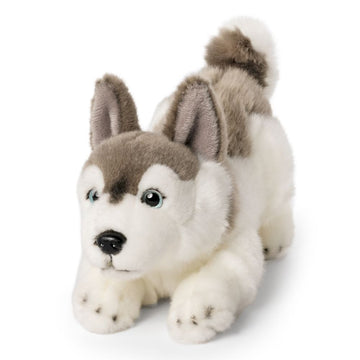 Living Nature Plush Toys - Playful Husky