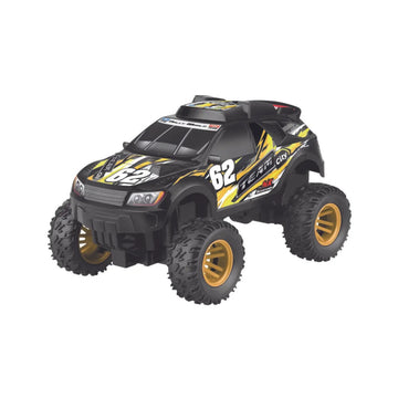 Team City RC Rally - 1:16