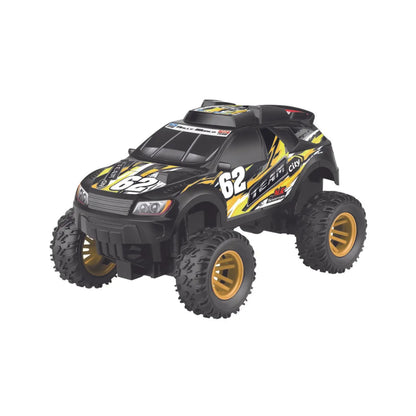Team City Rc Rally (1:16)