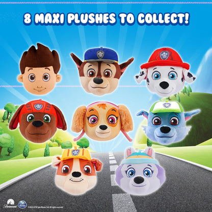 Miraball Surprises Paw Patrol Surprises