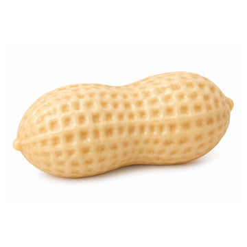 Peanut Squishy