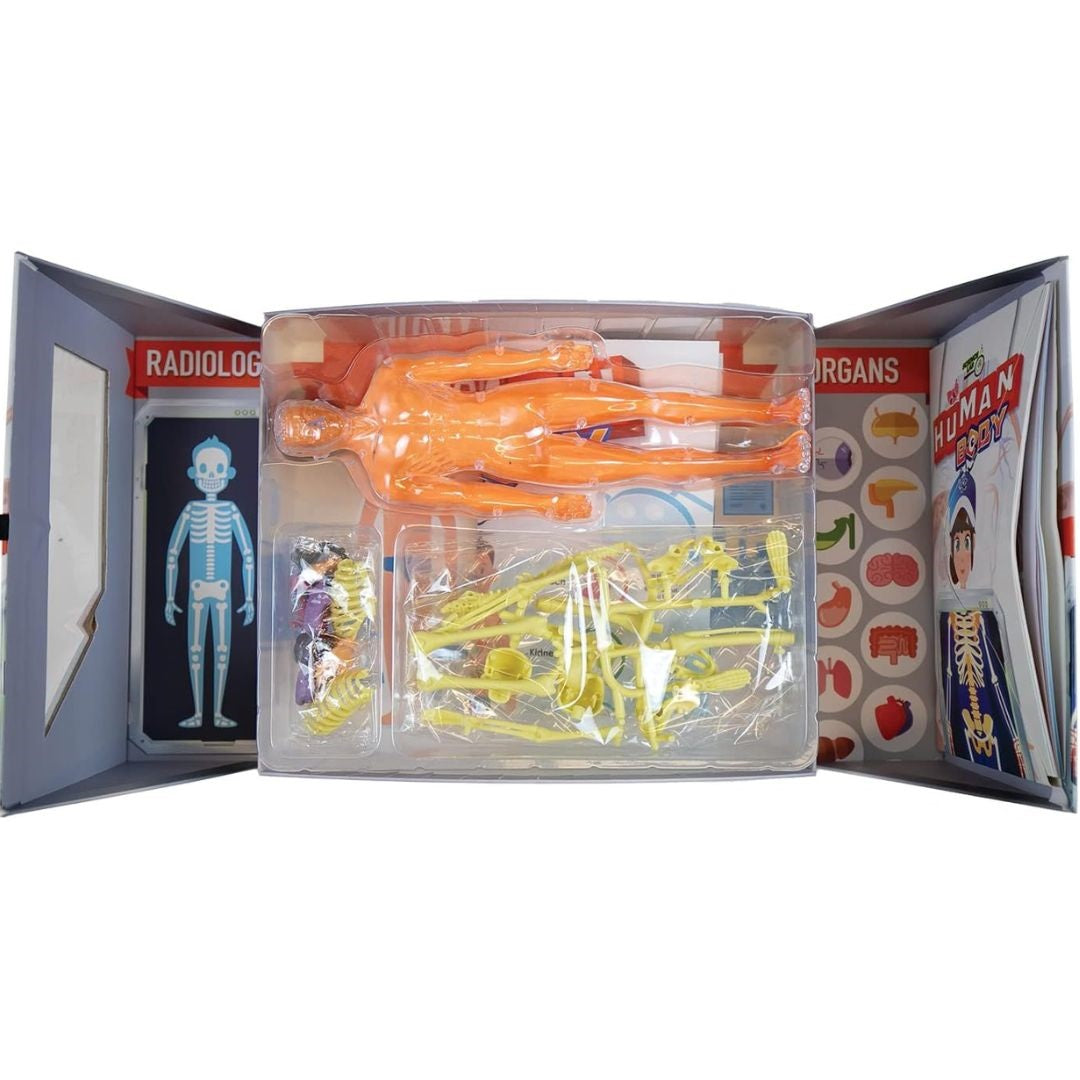 SpiceBox Science Lab Human Body Kit