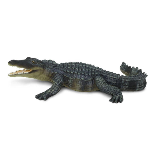 Crocodile