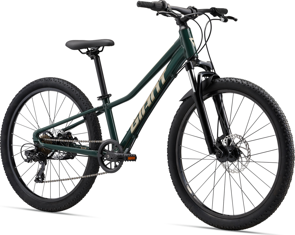 Giant Talon Disc Bicycle Trekking Green (24 Inch)