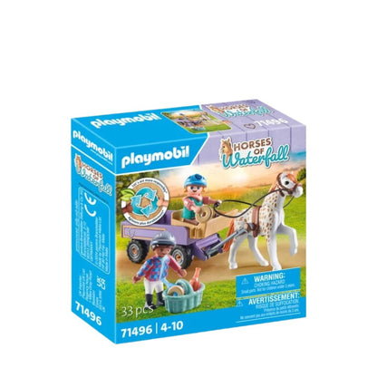 Playmobil Children with Carriage and Pony