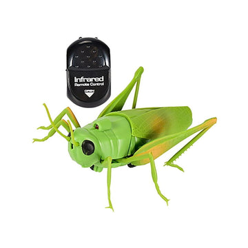 SIDJ RC Grasshopper