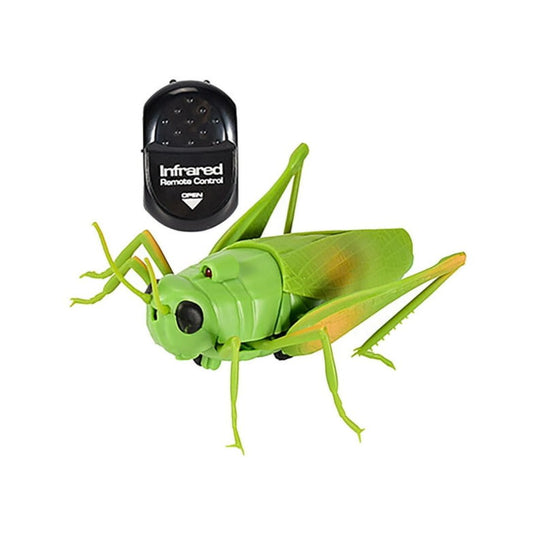 RC Grasshopper