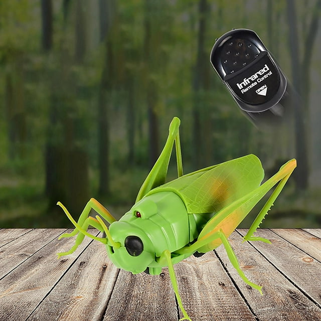 RC Grasshopper