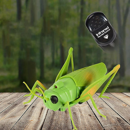 RC Grasshopper