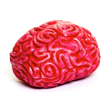 Keycraft Squidgy Brain