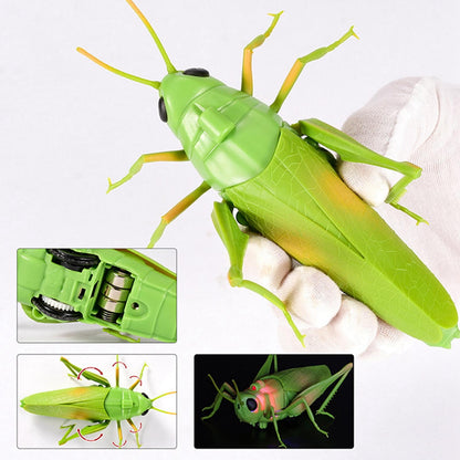 RC Grasshopper