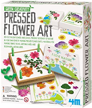 Green Creativity Pressed Flower Art