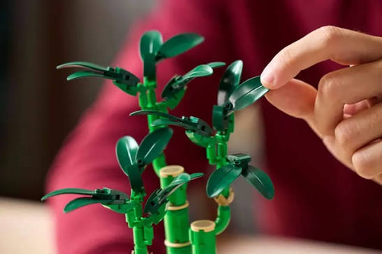 Lego Icons Lucky Bamboo