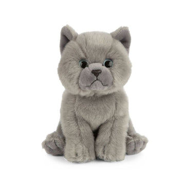 Living Nature British Grey Shorthair Kitten