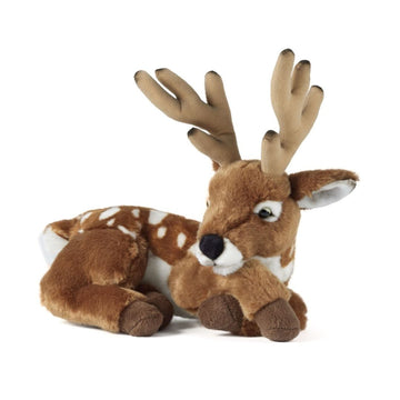 Living Nature Deer
