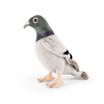 Living Nature Pigeon