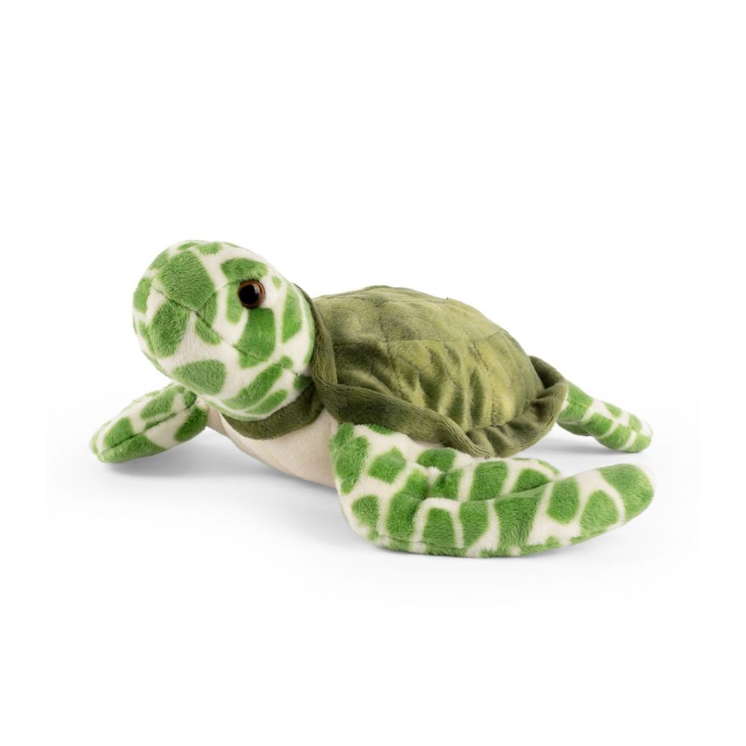 Living Nature Sea Turtle
