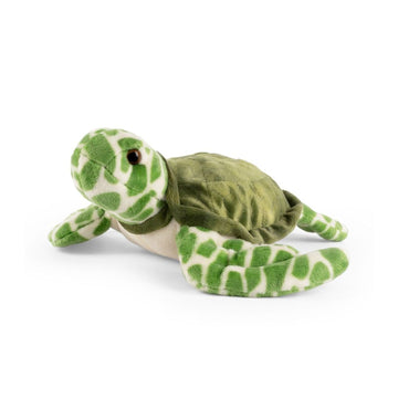 Living Nature Sea Turtle